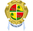 Taleggio
